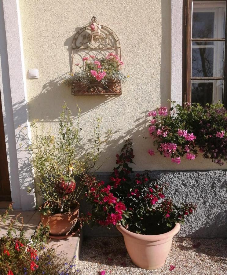 Marta'S House Pension Bled Buitenkant foto